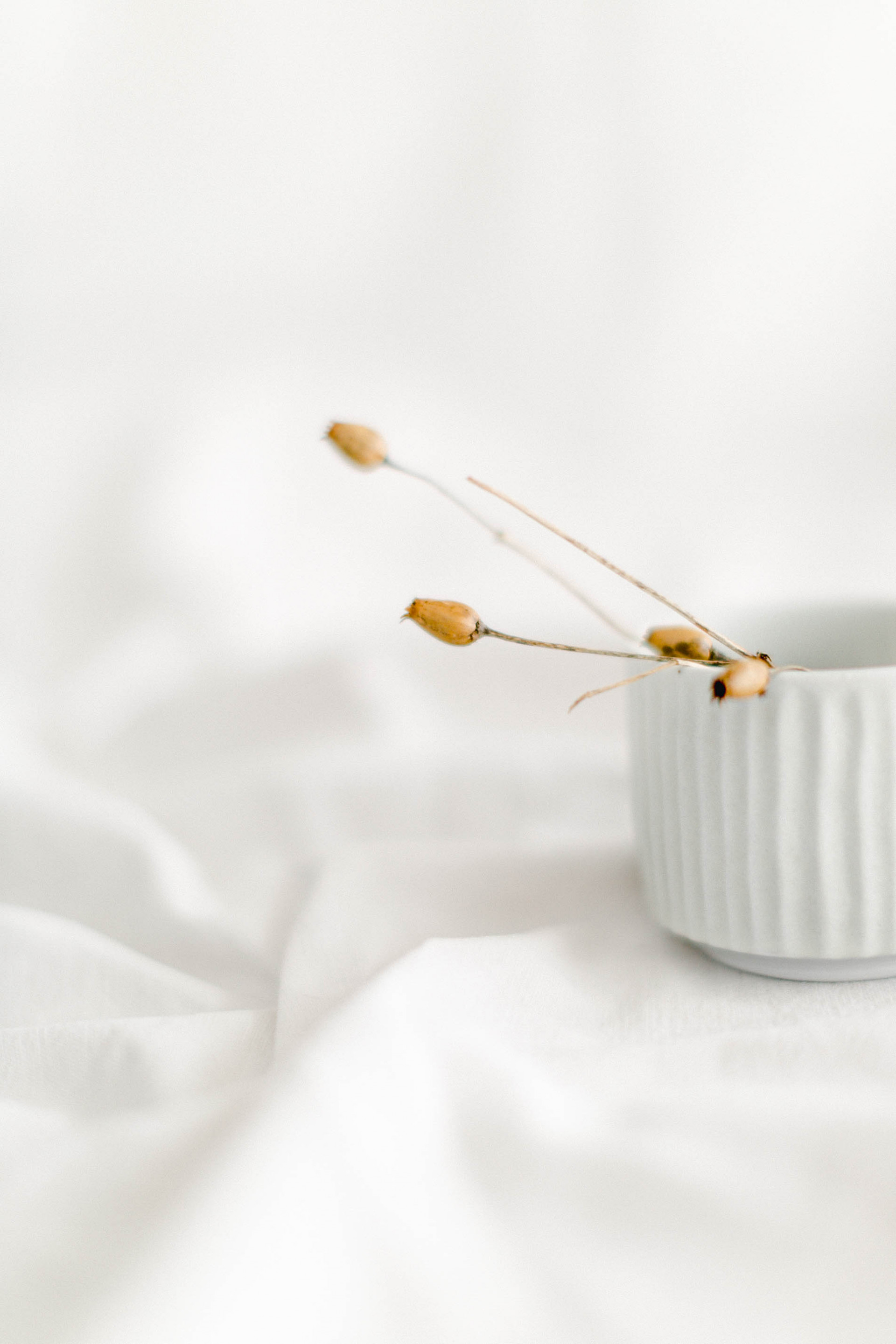 Poterie Hélène Bénéteau